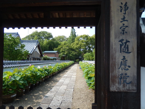 DSCN3532