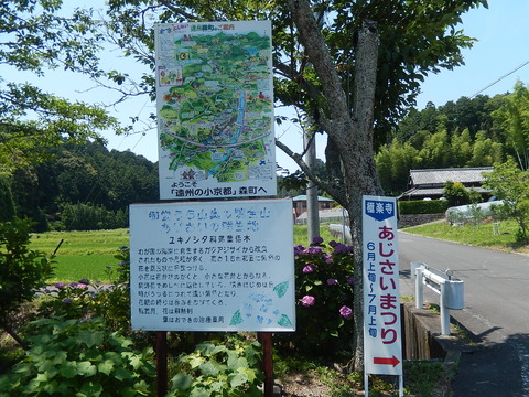 DSCN0379