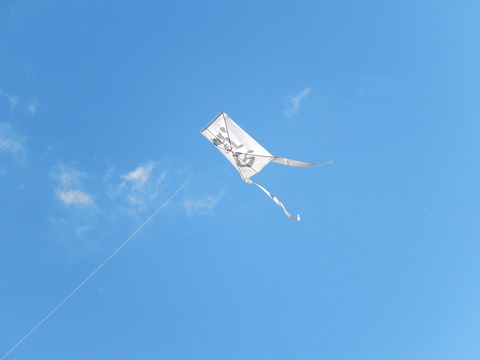 DSCN1263