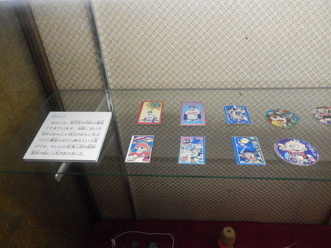 DSCN8745