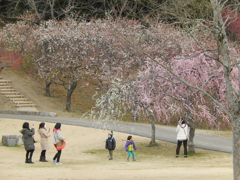 DSCN8930