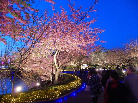 DSCN9587