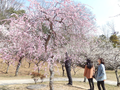 DSCN1429