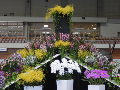 DSCN1526