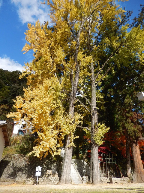 DSCN8244