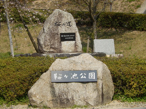 DSCN0849