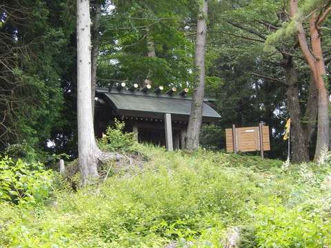 DSCN7579