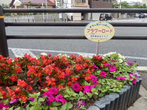 DSCN3617