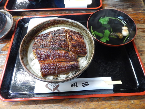 DSCN5034