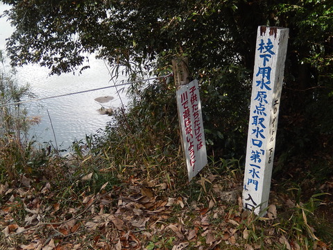 DSCN9933