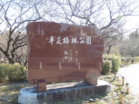 DSCN1849