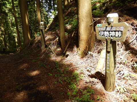 DSCN7622