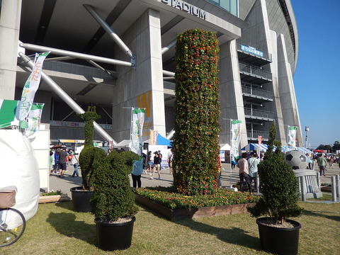 DSCN7040