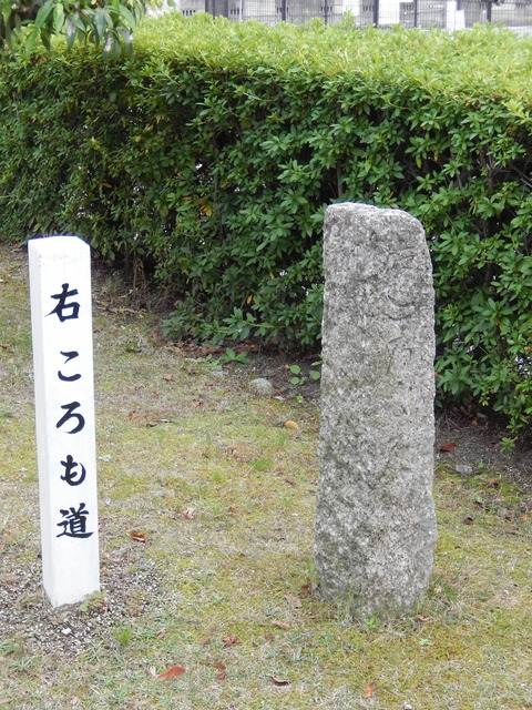 DSCN8796