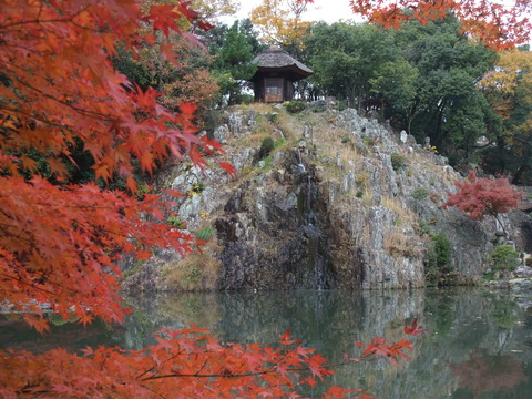 DSCF0011