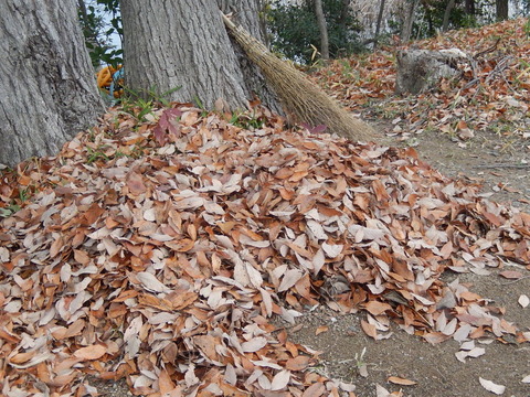 DSCN9317