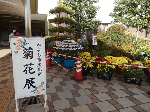 DSCN9156