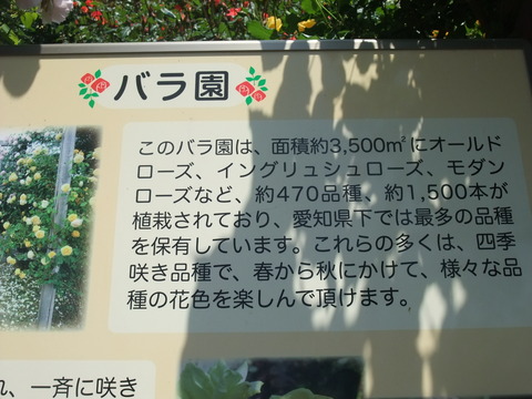 DSCF0010