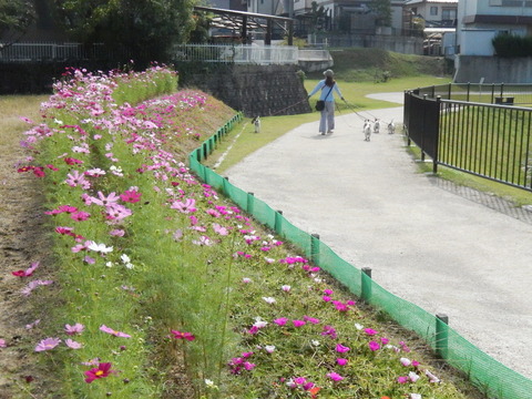 DSCN7476