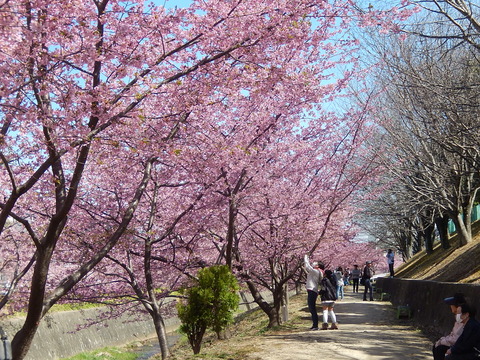 DSCN1527