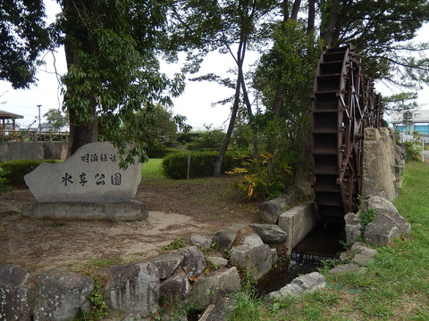 DSCN8981