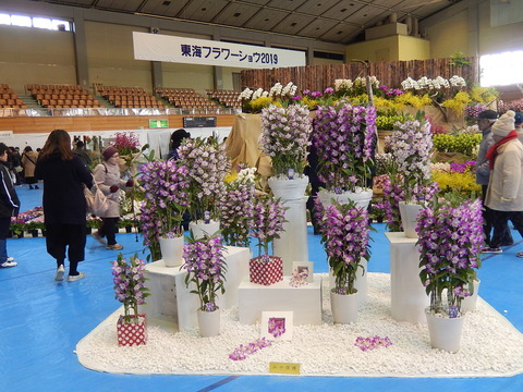 DSCN1613