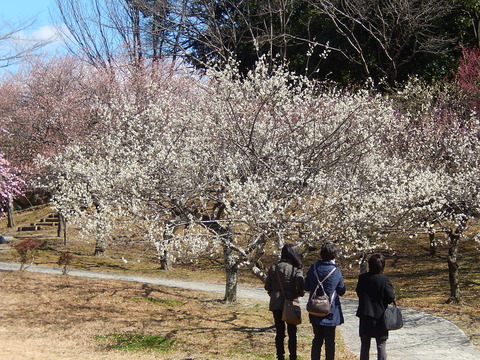 DSCN0858