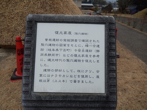 DSCN0662