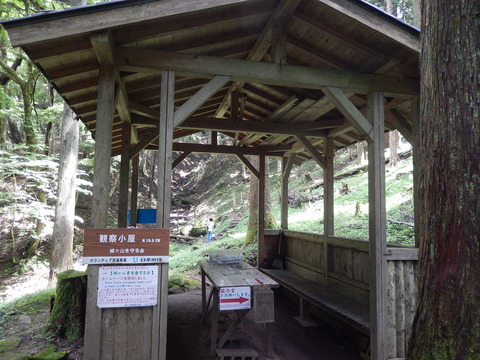 DSCN5491