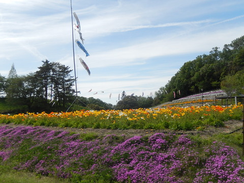 DSCN3311