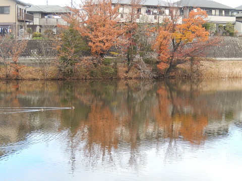 DSCN8823