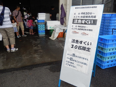 DSCN4230