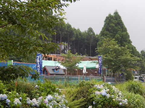 DSCN4206