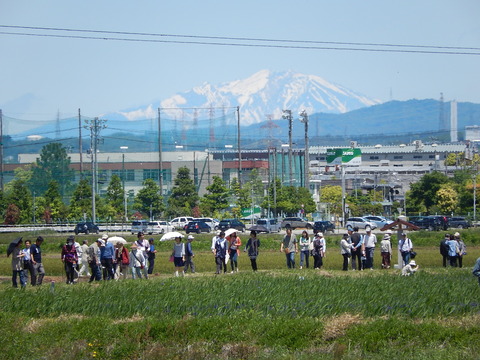 DSCN1955