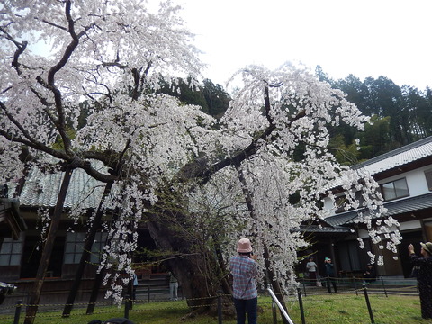DSCN2351