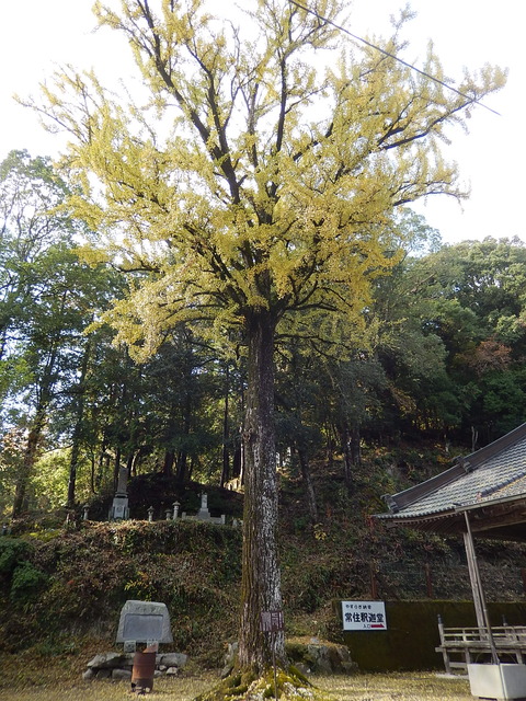 DSCN8119