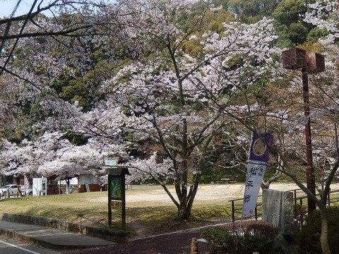DSCN2229