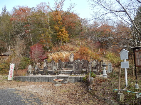 DSCN0493