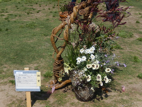 DSCN8759