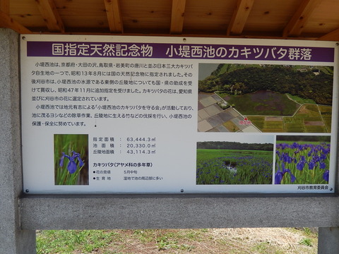 DSCN1914