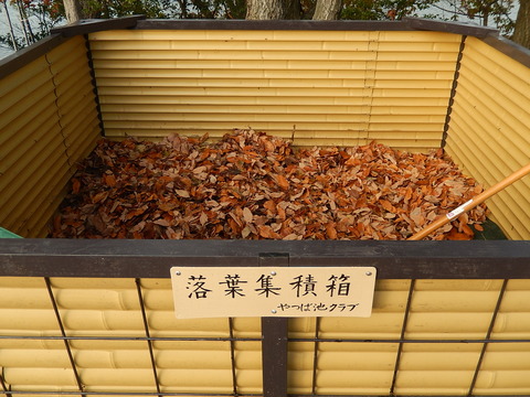 DSCN0090