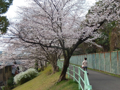 DSCN9829