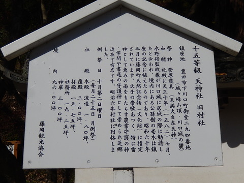DSCN8217