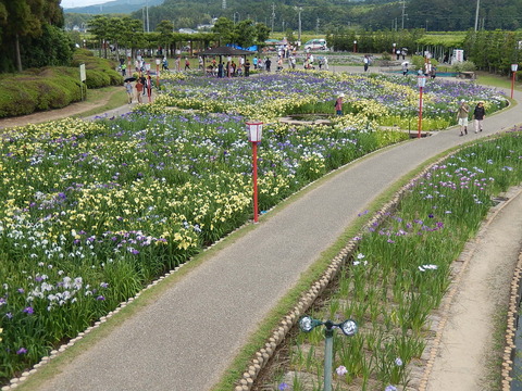 DSCN3855