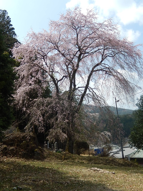 DSCN2332