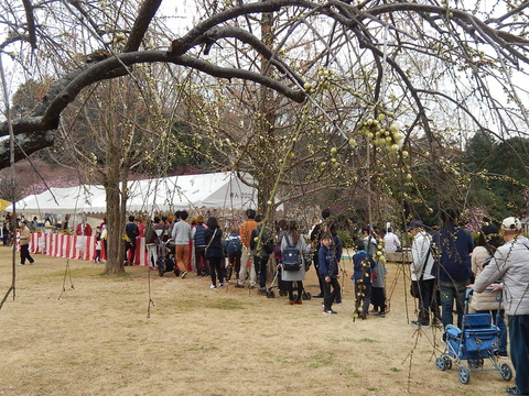 DSCN1285