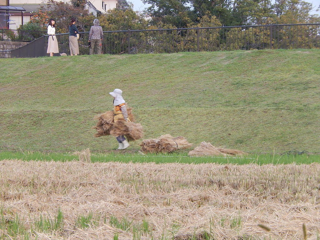やつば池散歩道のツボケの見える風景 : やつば池散歩道（豊田市）のブログ