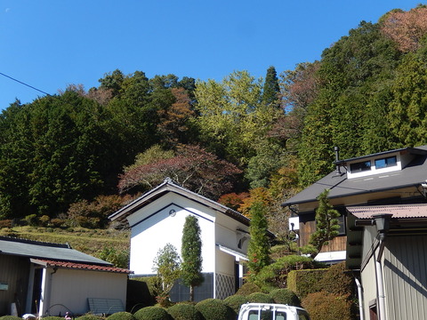 DSCN9221