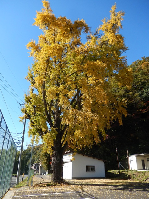 DSCN8035