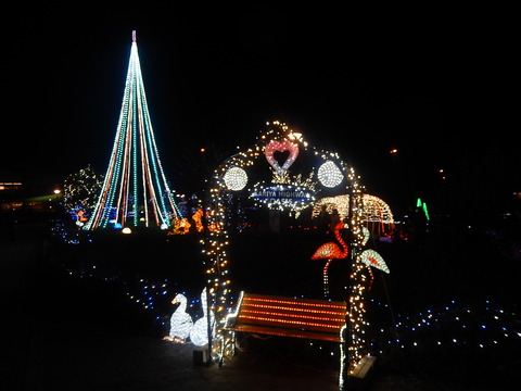 DSCN9745